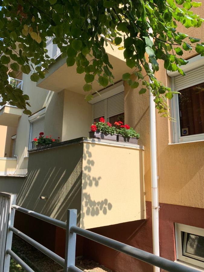 Konig Apartman ヘーヴィーズ エクステリア 写真